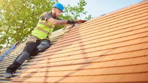 Best Roof Ventilation Installation  in Ava, MO