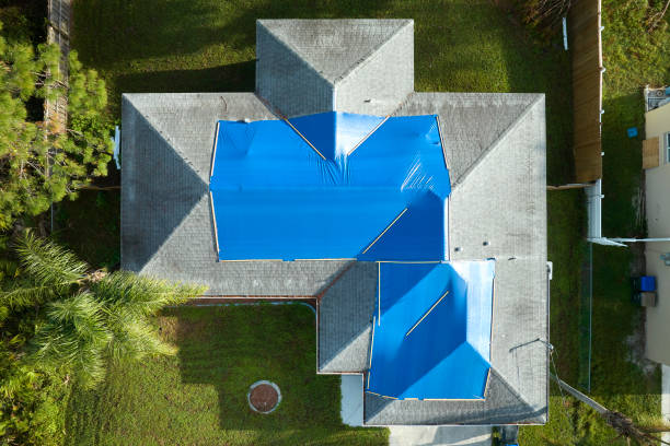 Best 4 Ply Roofing  in Ava, MO